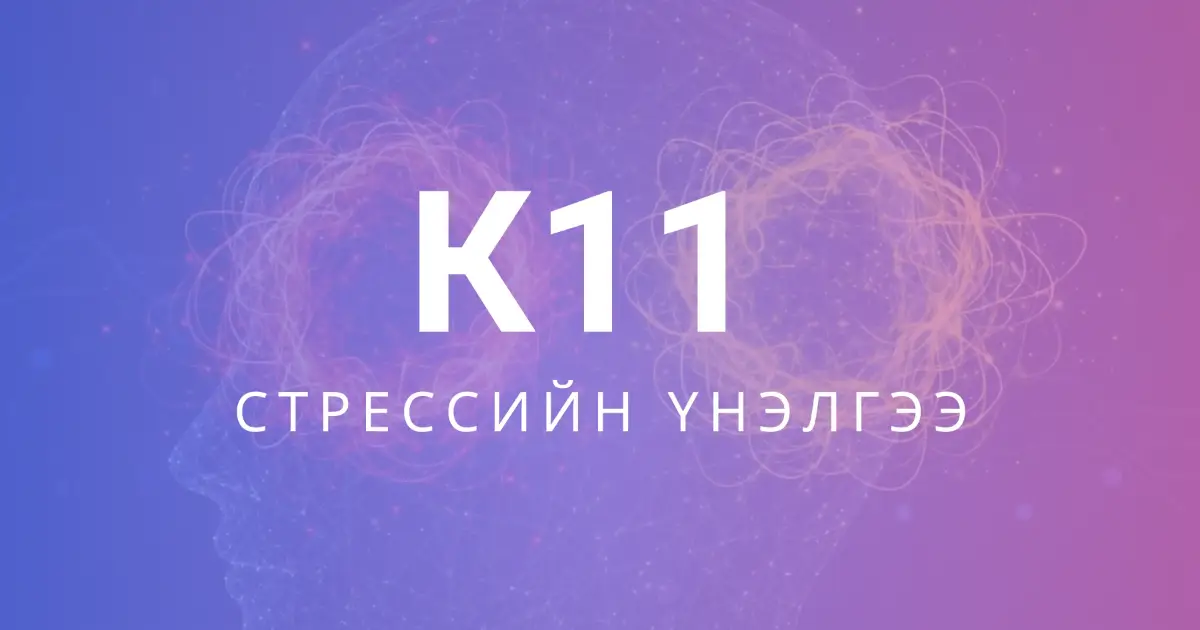 Сэтгэл зүйн ачаалал ба Дотоод тэнцвэрийн шинжилгээ (K11+)